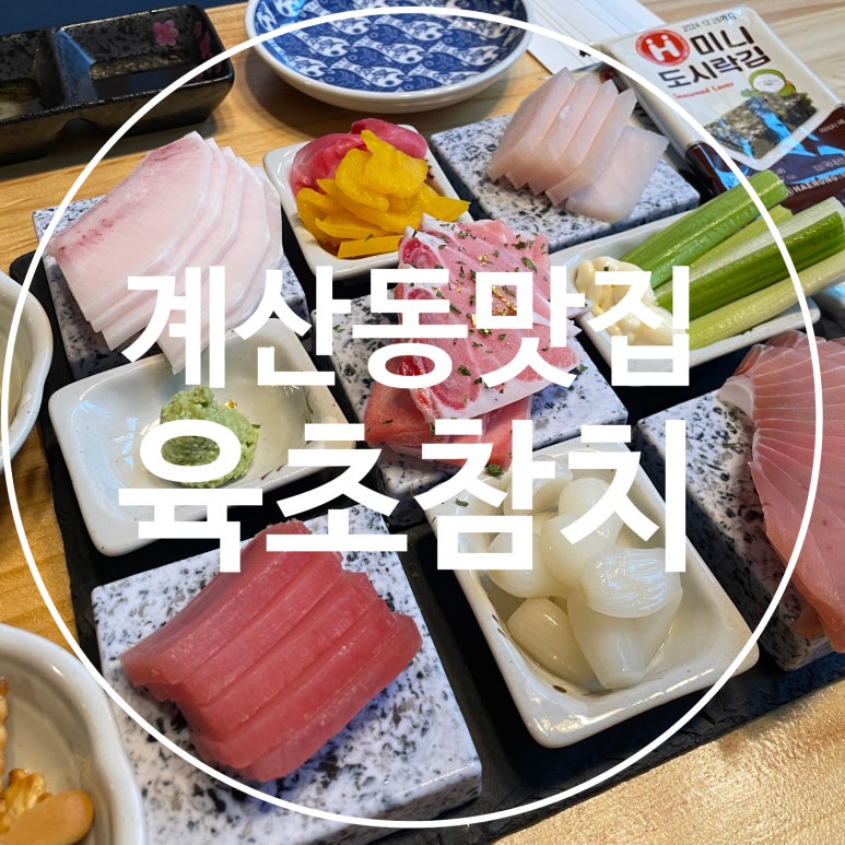 육초참치 이미지