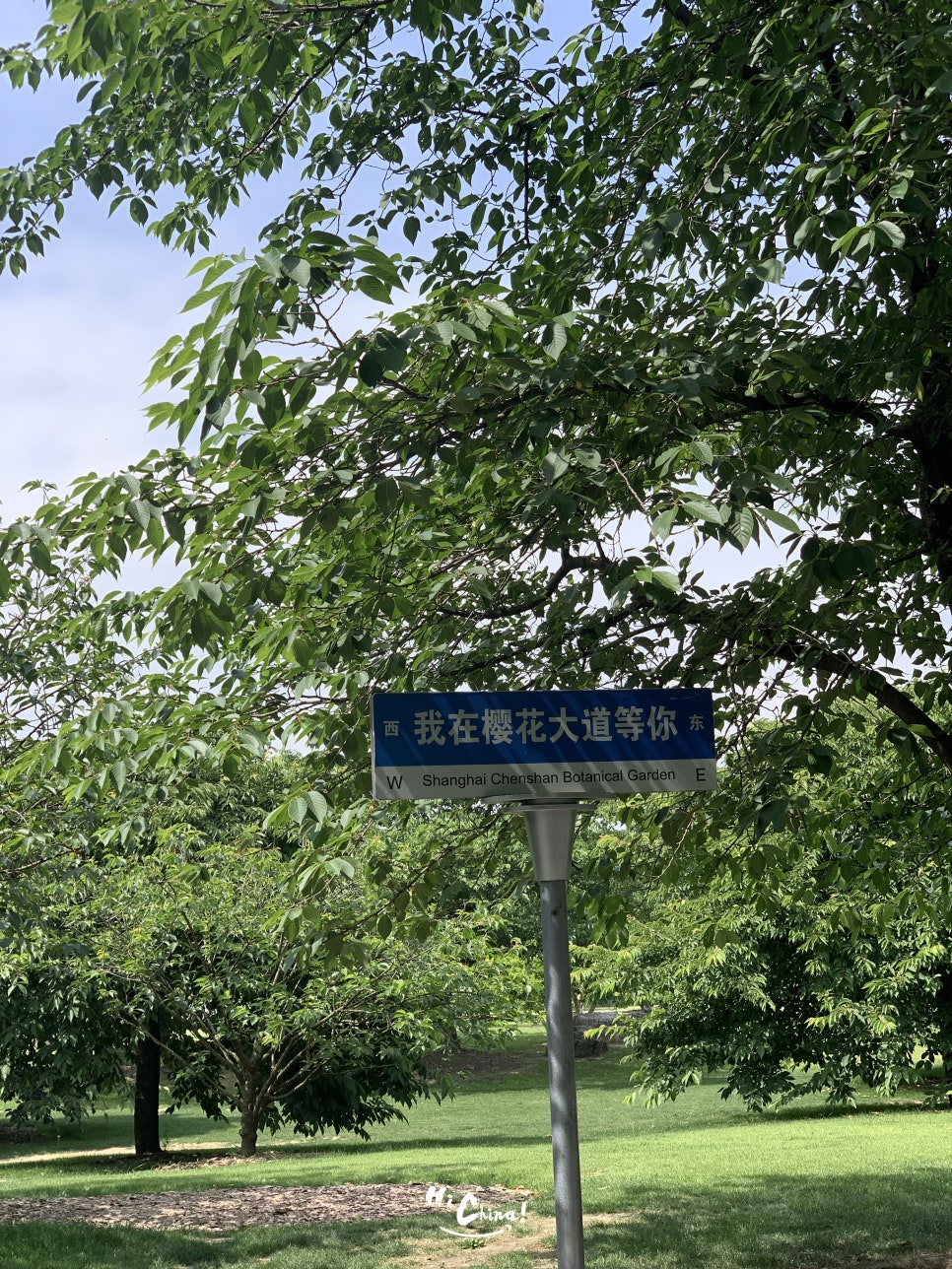 진산임업 이미지