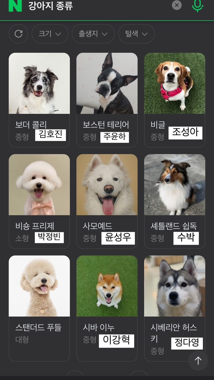 다영황 이미지