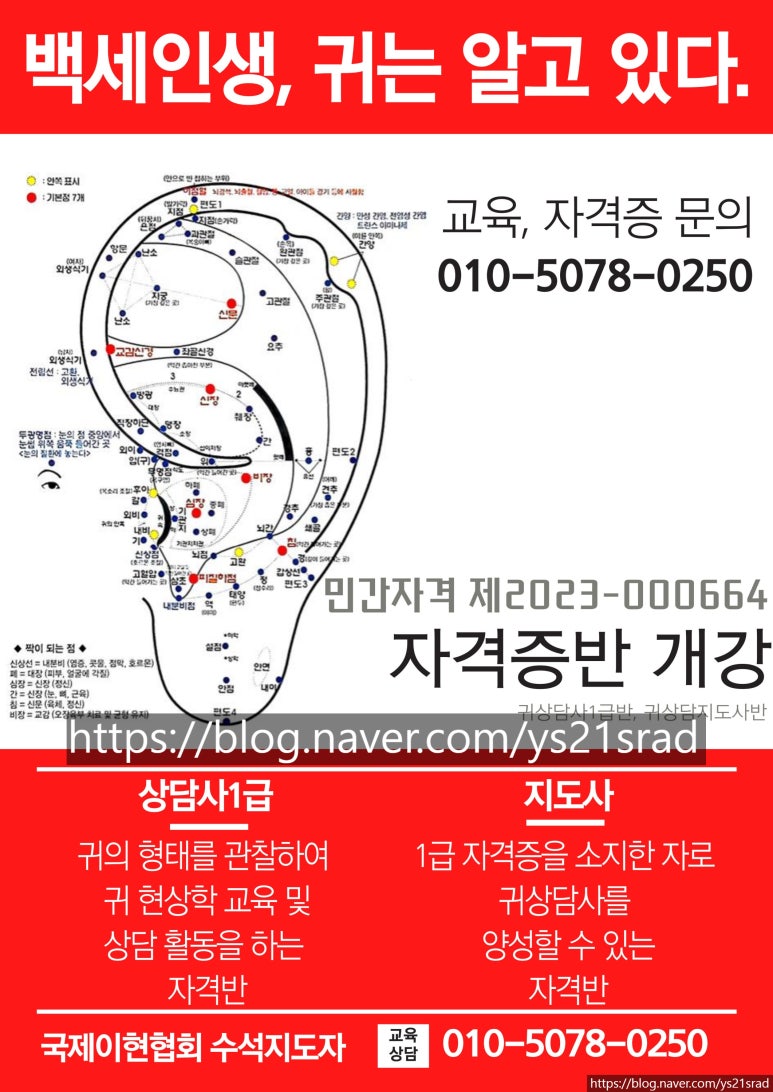국제이현협회 이미지