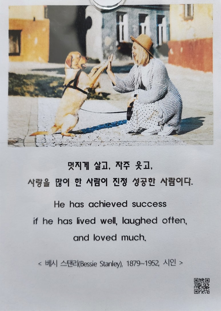 심미안학교 이미지