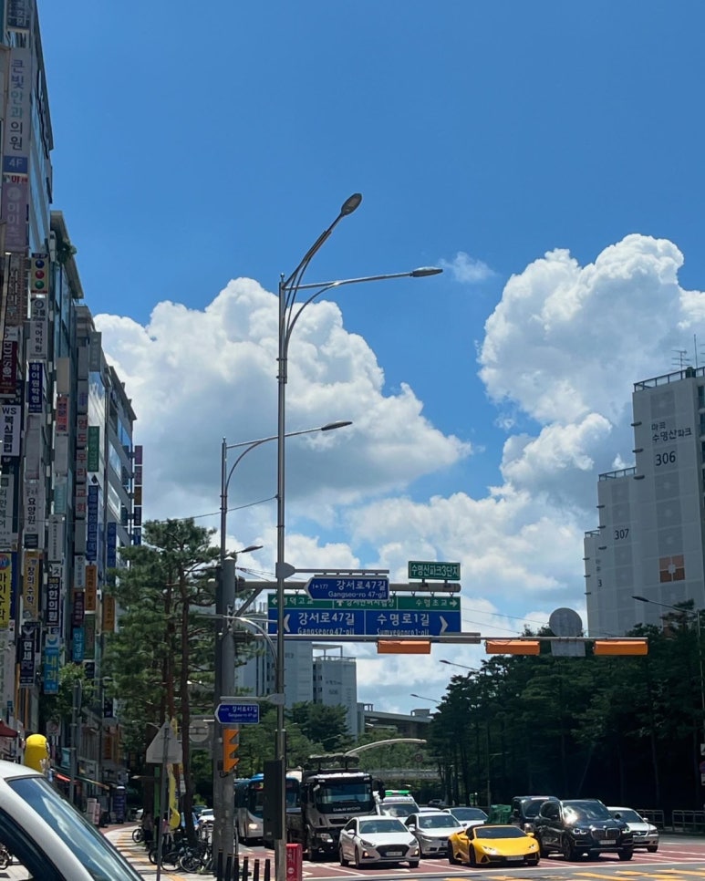 숙명엘피아노 이미지