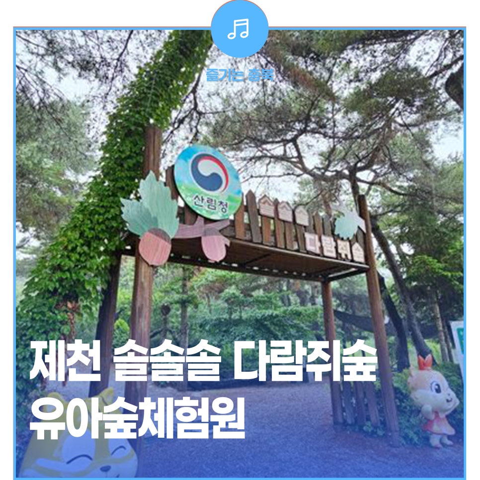 솔솔솔 다람쥐숲 유아숲체험원 이미지