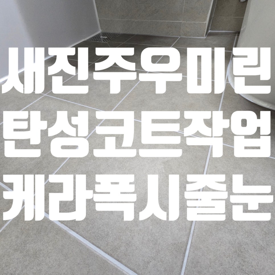 새진주청소 이미지