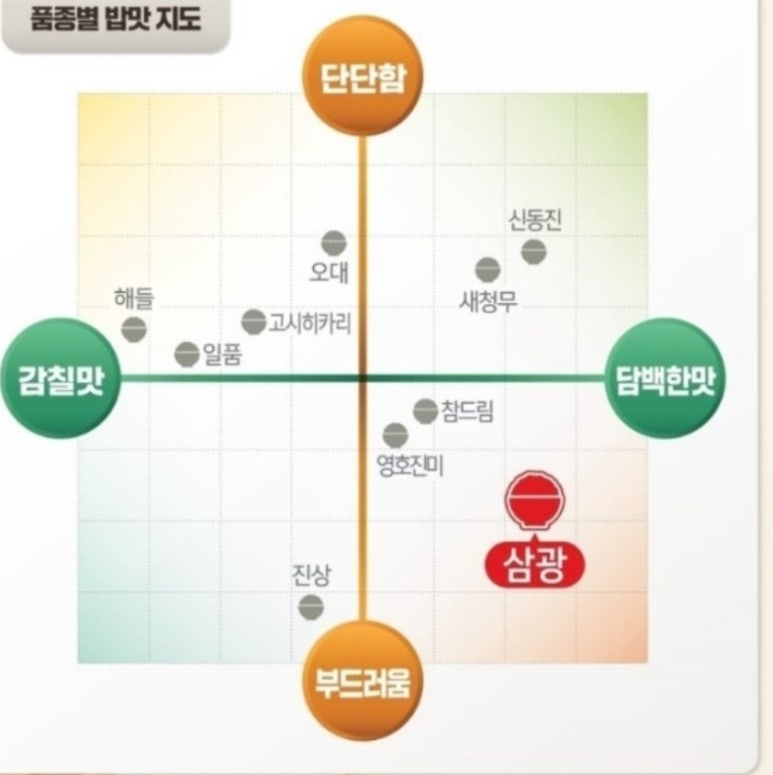 삼광개발주 이미지
