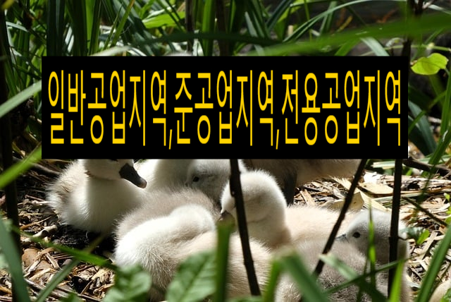 위하여단란주점 이미지