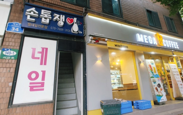 손톱쟁이 이미지