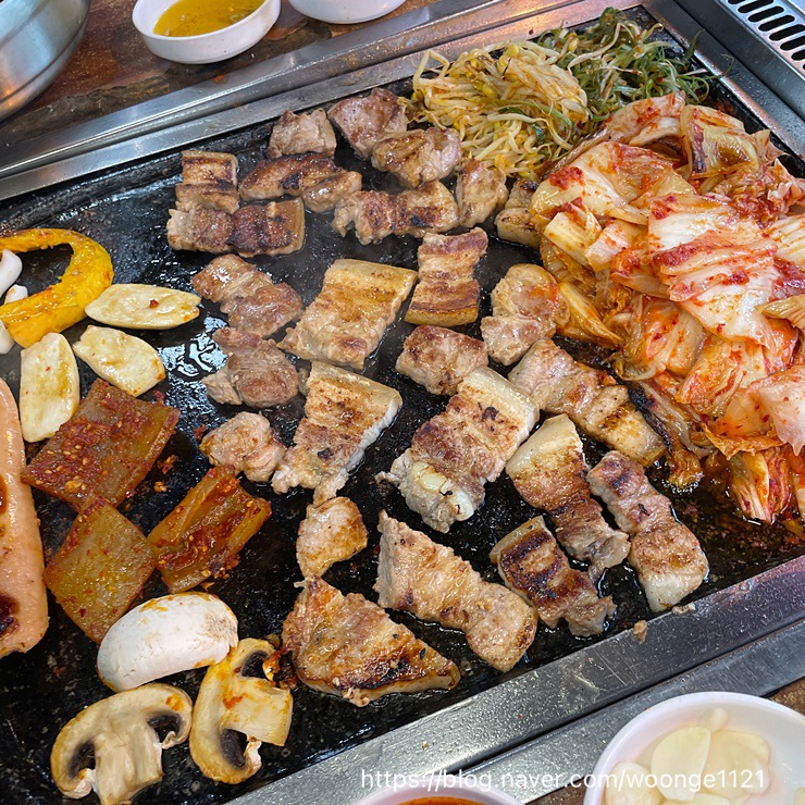 탐라도야지 이미지