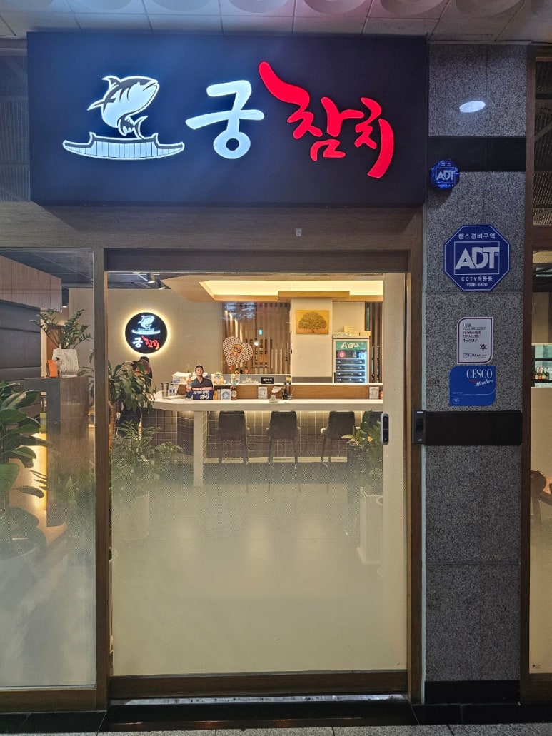 궁참치 이미지