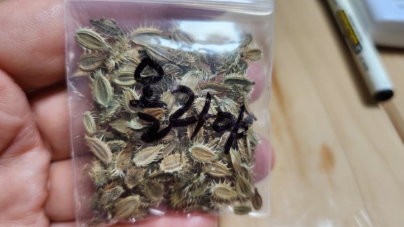 키맘 이미지