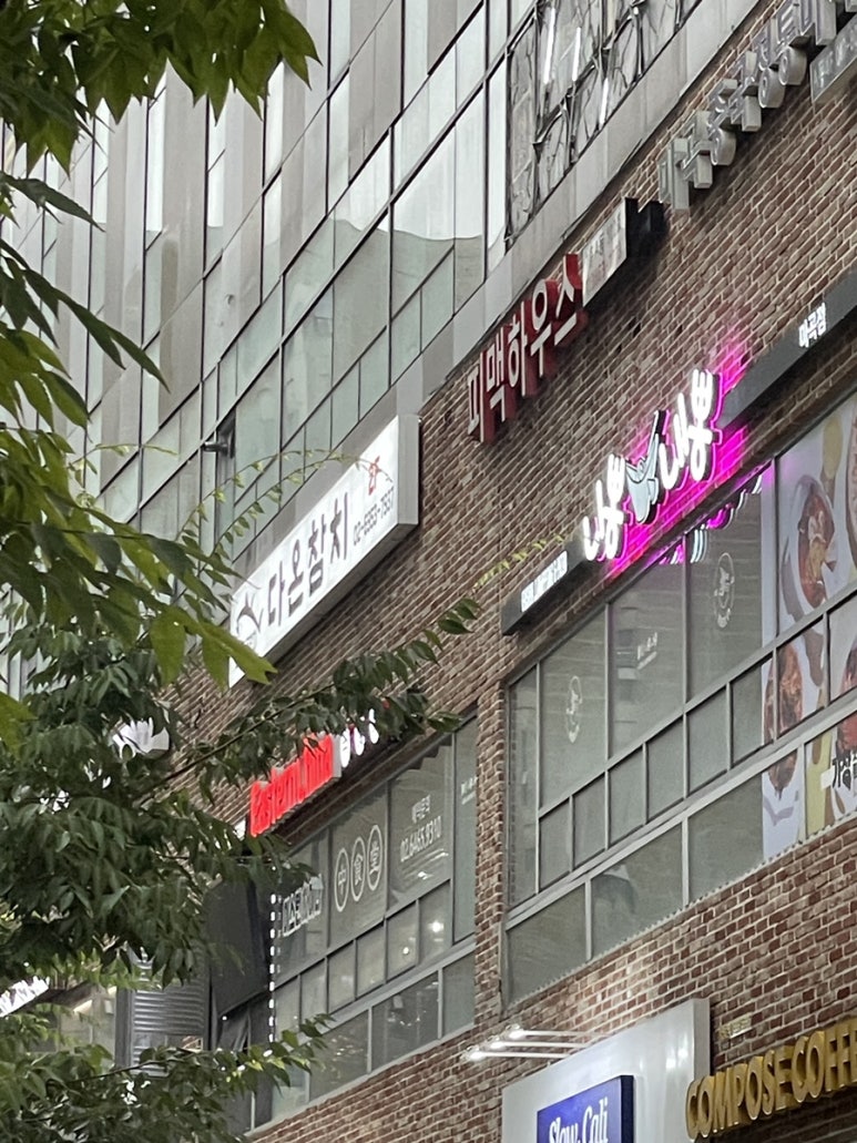 다은참치 이미지