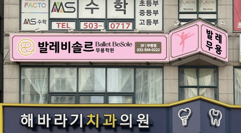 발레비솔르무용학원 이미지