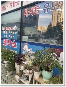 날개세탁소 이미지