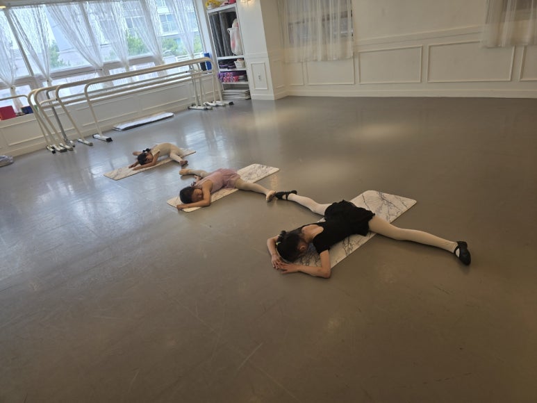 발레비솔르무용학원 이미지
