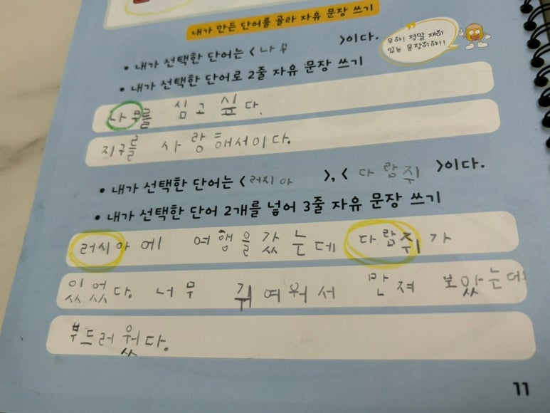 토그놀 이미지