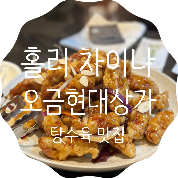 홀리차이나 이미지