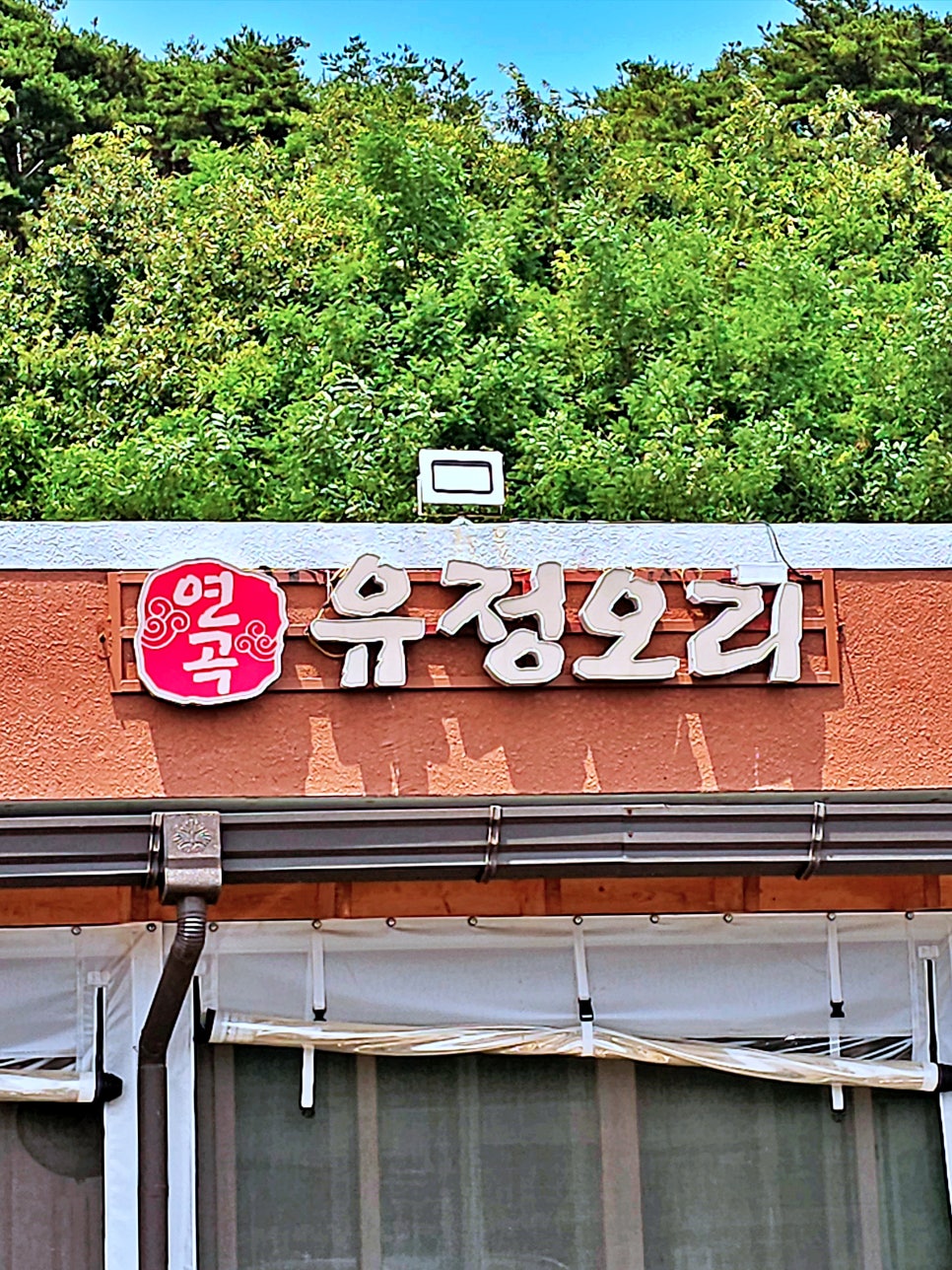 연곡유정오리 이미지