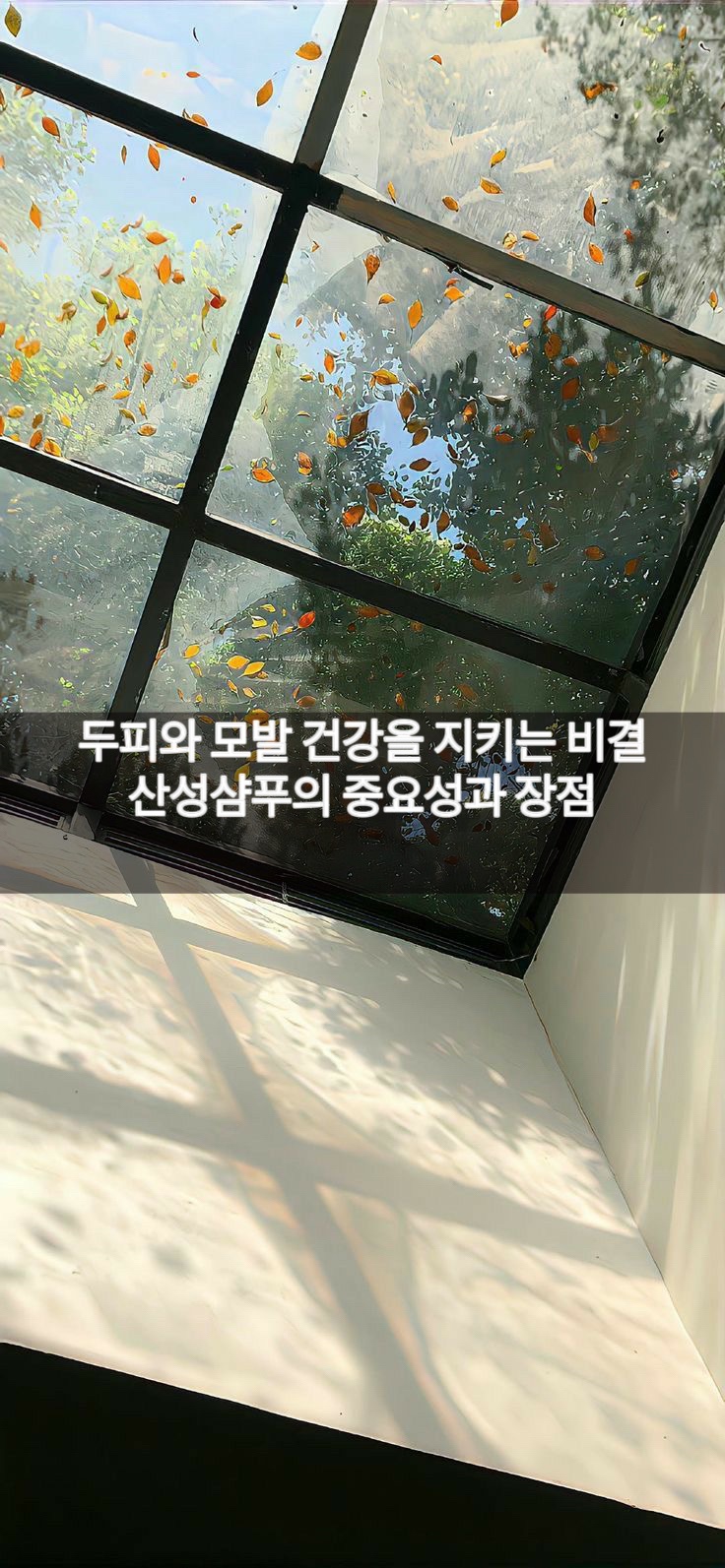 초연미용실 이미지