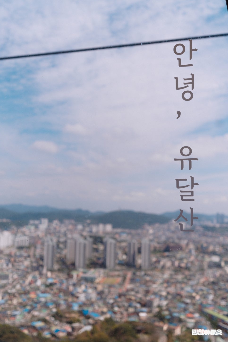 오쇼잉 이미지
