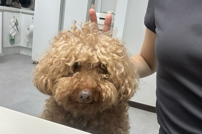 갤러리뽈 이미지