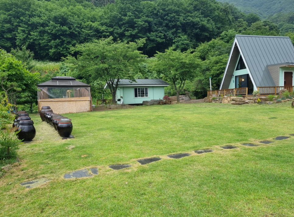 스테이종이와나무 이미지
