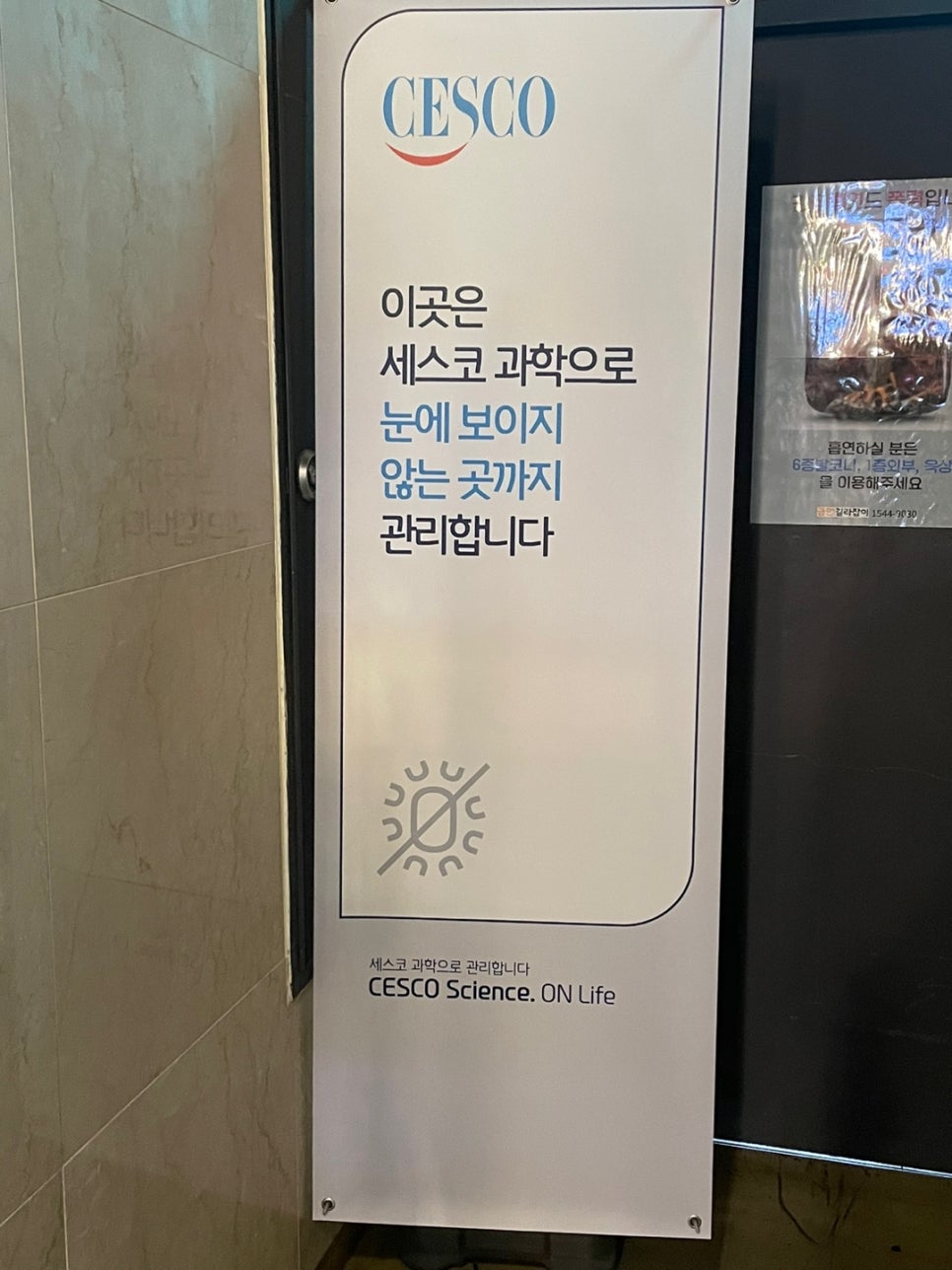 헬스보이짐대전 이미지