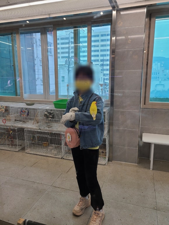 하버드앵무새카페 이미지