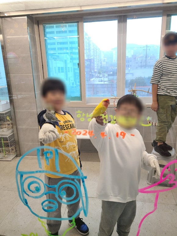 하버드앵무새카페 이미지