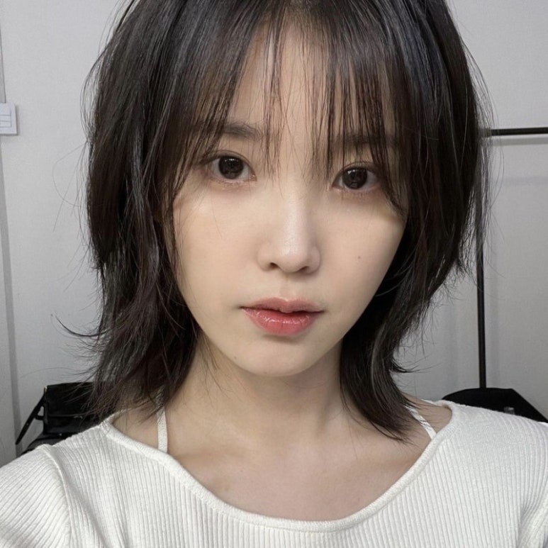 다다헤어 이미지