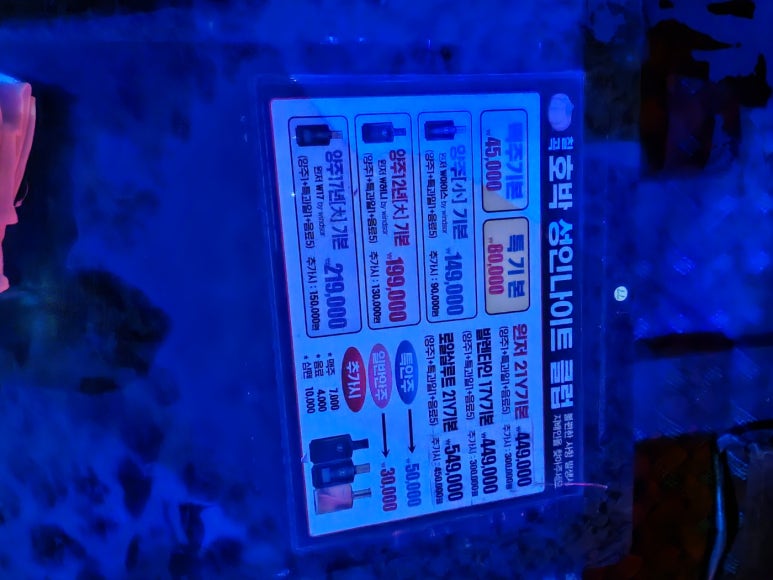 호박라이브 이미지