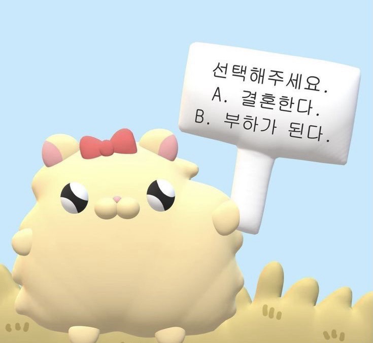 디자인나비드 이미지