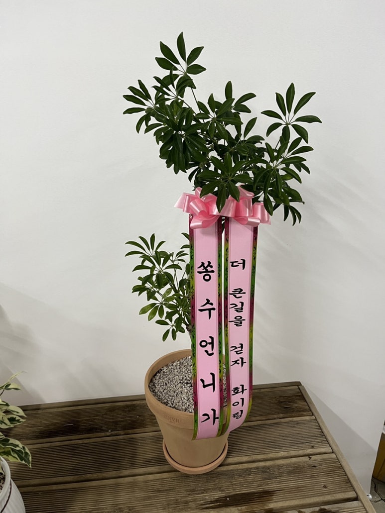 사랑꽃집 이미지