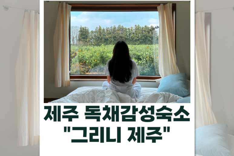 그리니제주 이미지