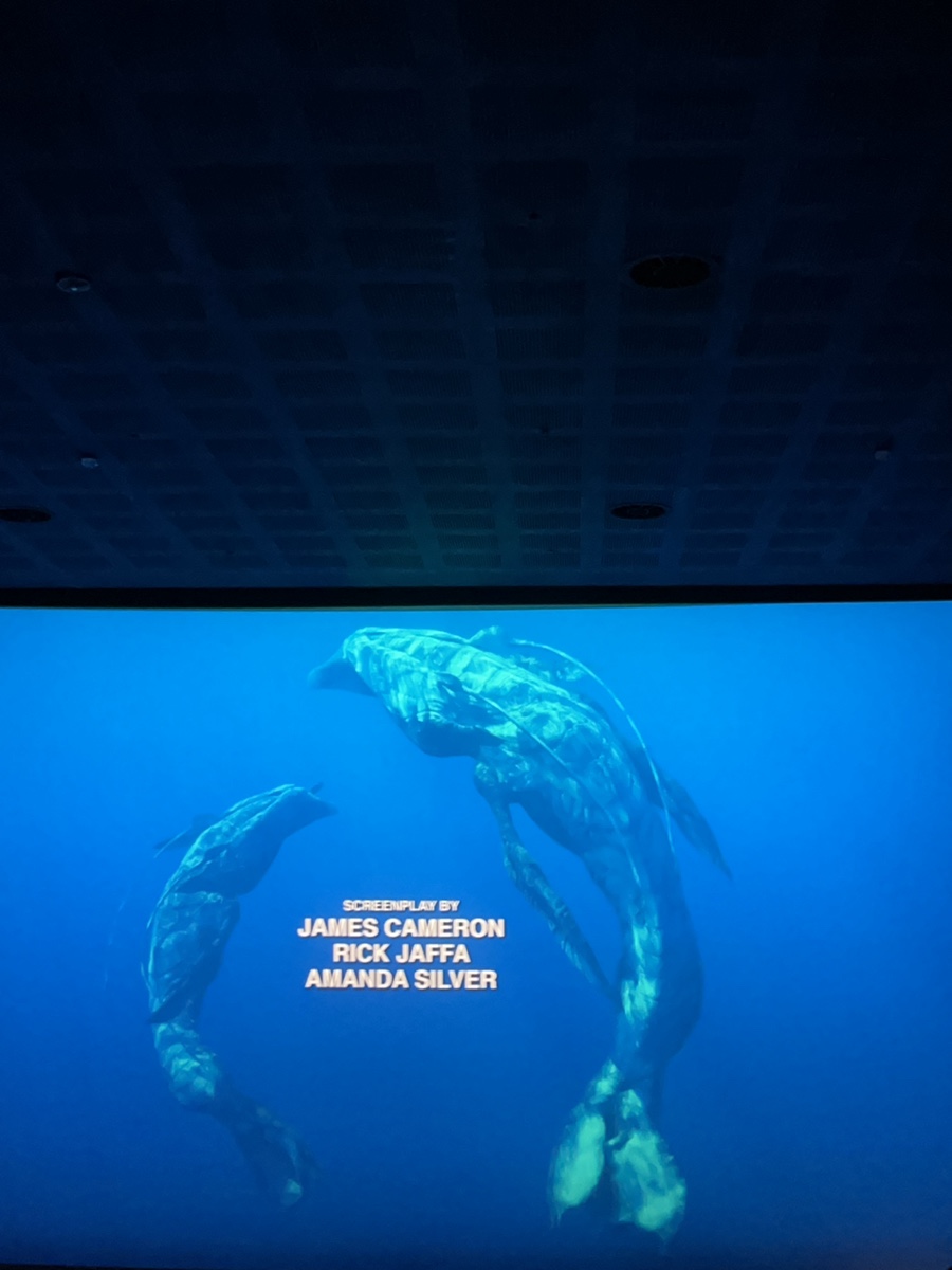 CGV 천호 1관 이미지