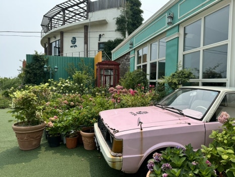 바다마실건어물 이미지