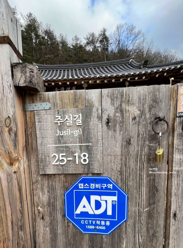 스테이영양둘째 이미지