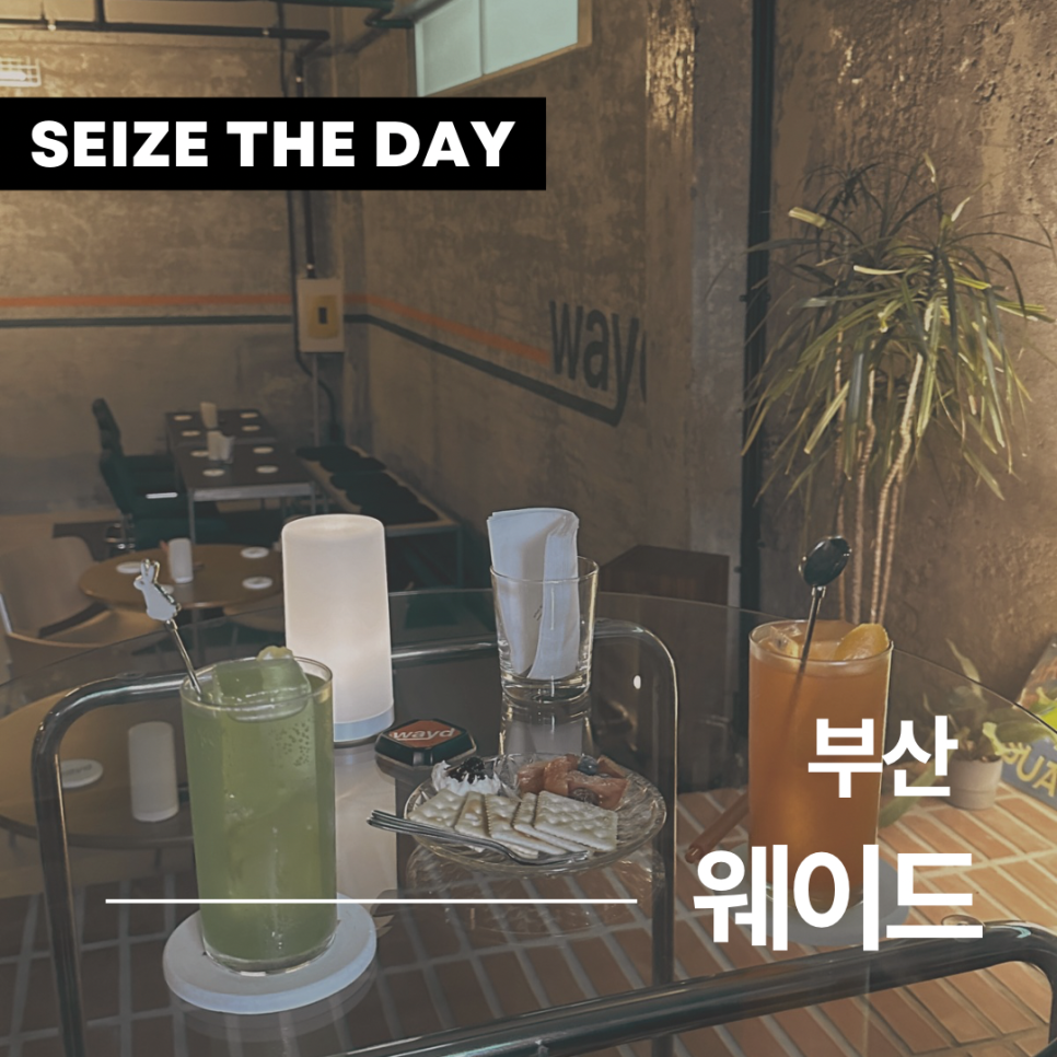 웨이드(wayd) 이미지