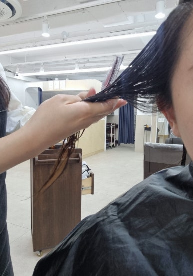 아델리오헤어 이미지
