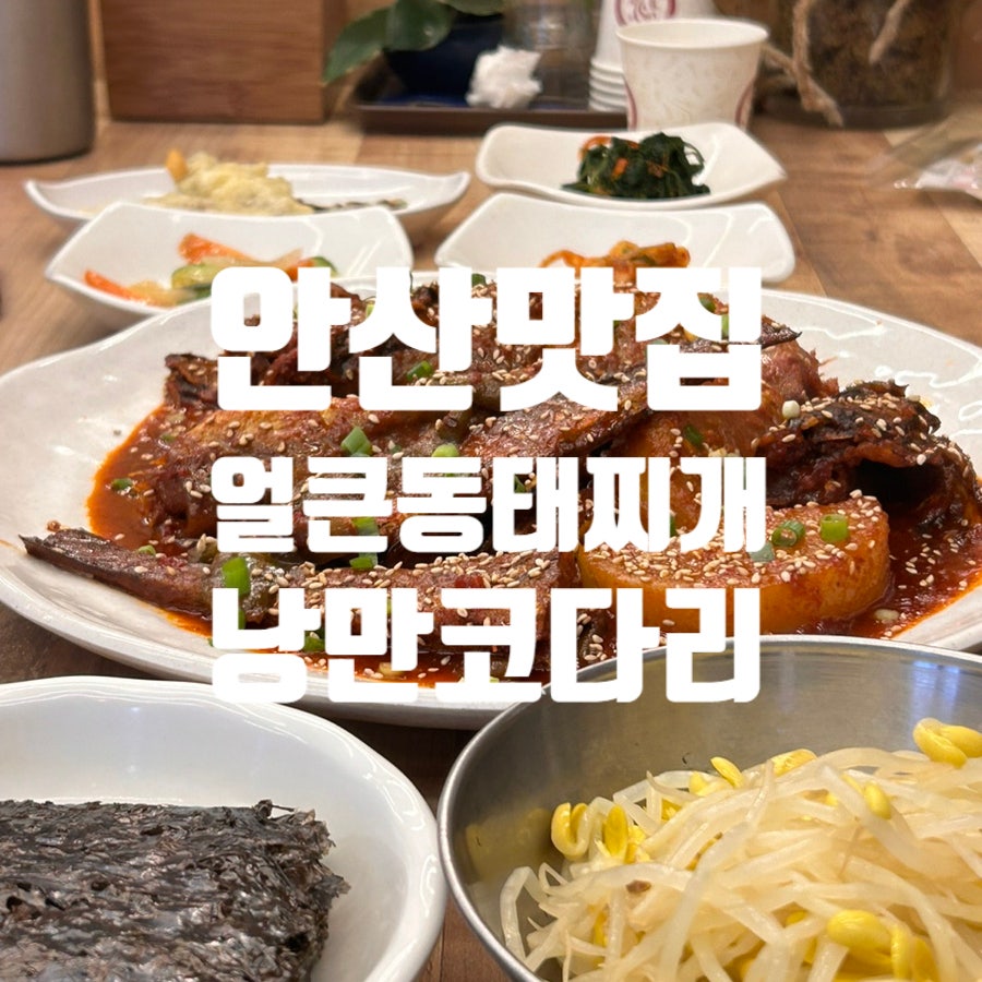 얼큰동태찌개낭만코다리 이미지