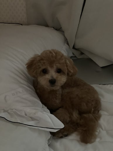 나예쁨 이미지