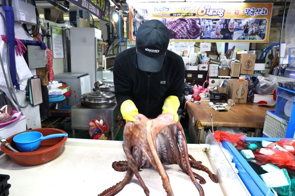 문어상회 이미지