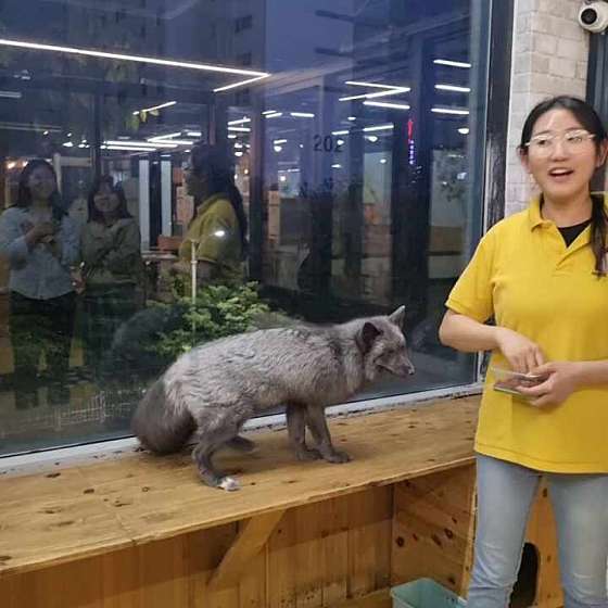 마리앤쥬 이미지