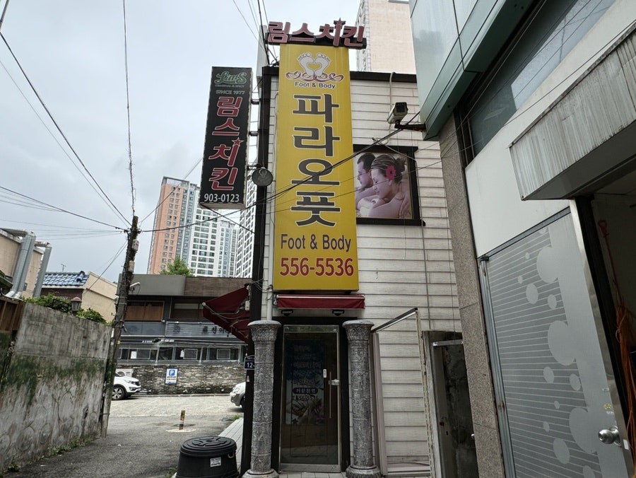 파라오풋 이미지