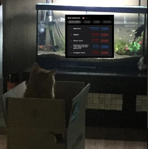 운유티살롱 이미지
