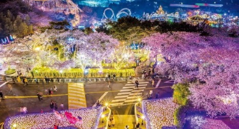 선미술음악학원 이미지
