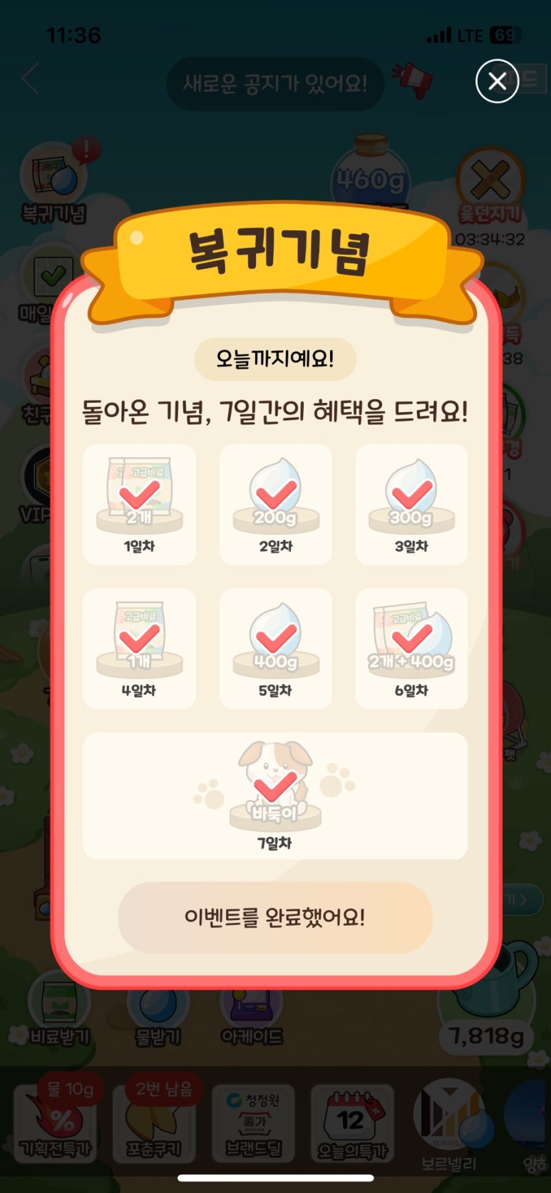 올웨이즈 이미지