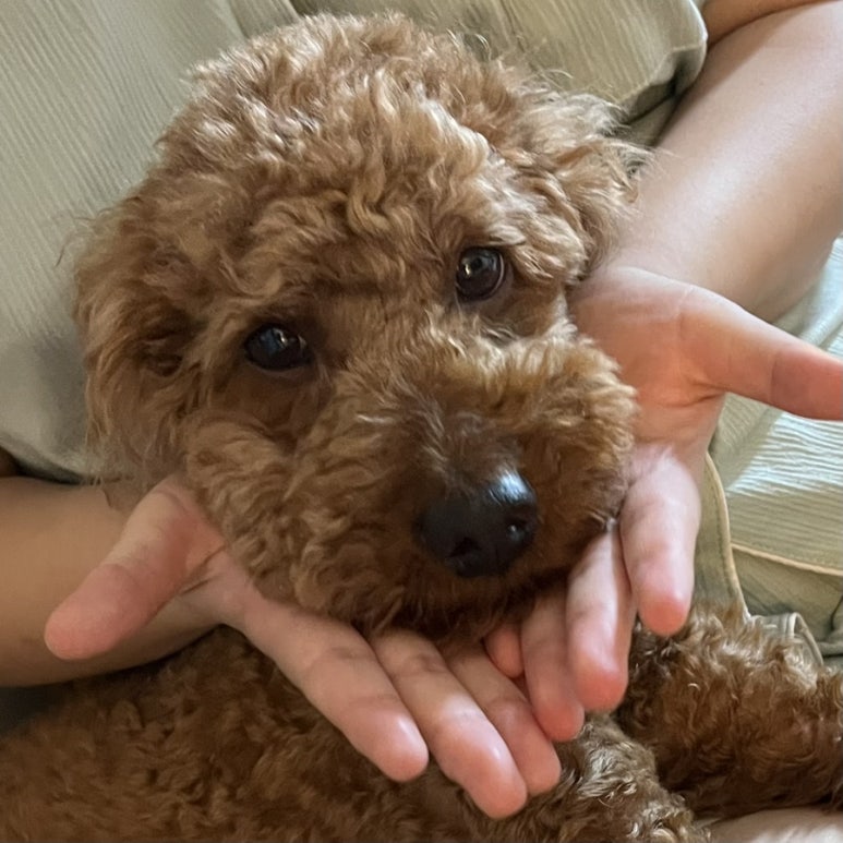 달곰집 이미지