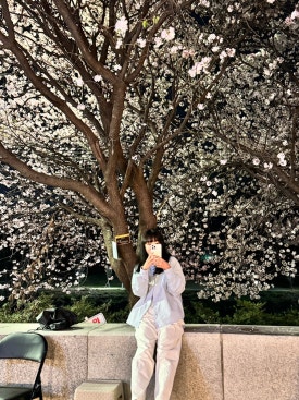 다모아통닭 이미지