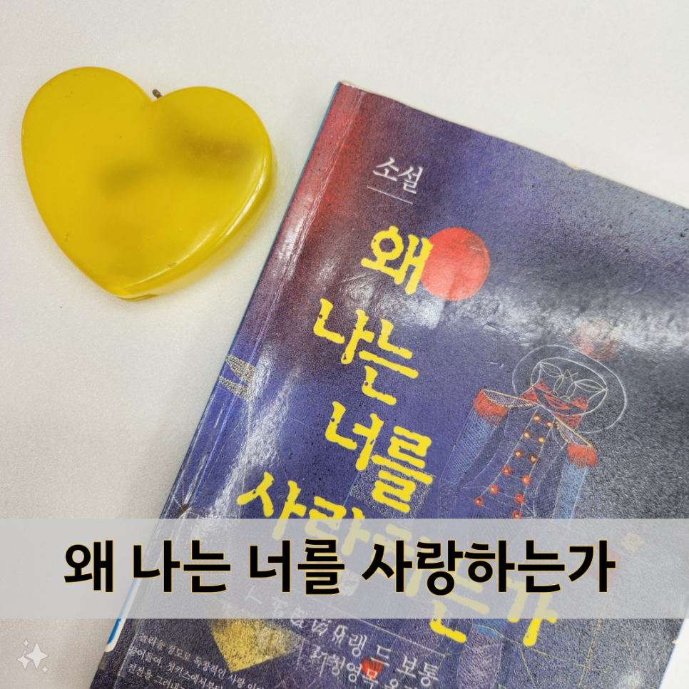 책 도서 추천 리뷰 : 왜 나는 너를 사랑하는가, 줄거리