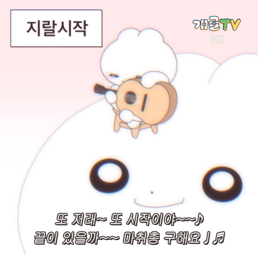 카이스(주) 이미지